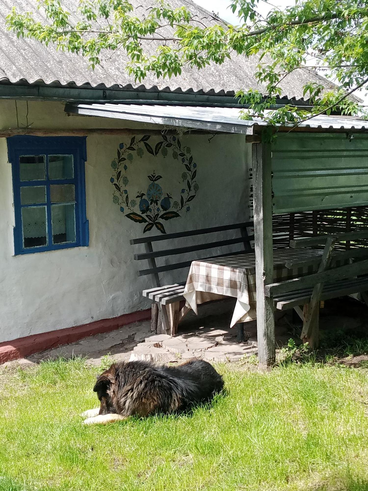 Дибинецькі Карпати Dybintsy Exterior foto